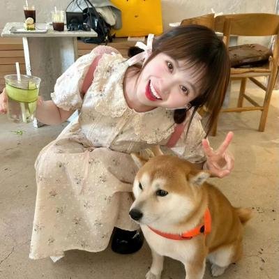 首尔救赎